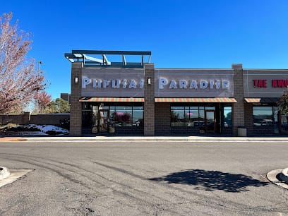 Pupusas Paradise 3 - Pupusas Restaurant